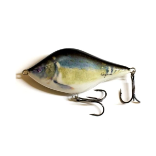 Hegemon Pikebait 8,5cm Kapr Potápivý