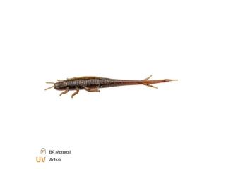 Zeck BA Shaky Sneaker 10cm BA Motoroil