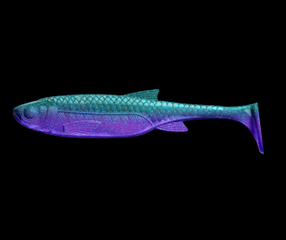 Libra Lures Kraken Shad 20,5cm 123 Cosmos