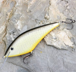 Bonito Krap 11,5cm DR plovoucí 06