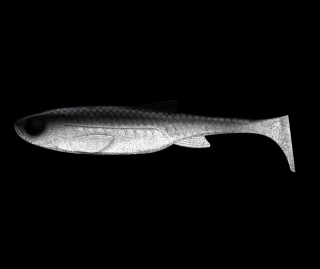 Libra Lures Kraken Shad 15cm 002 Ghost