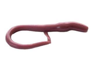 Moonky Long Worm 90mm C03 Brown Metalic 10ks