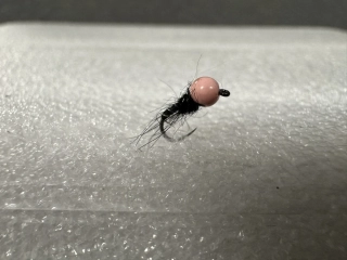 Nymfa Josobela 2 #18 2,8mm