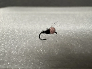Nymfa Josobela 3 #20 2,3mm