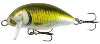 Kenart Chubby 4cm GF