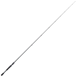 Shimano Curado Casting 2,26m 18-56g