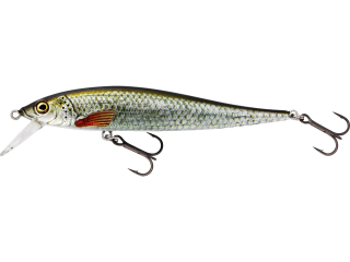Westin JerkBite SR 9cm Suspending Real Roach